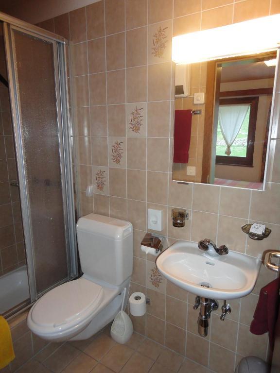 Ristorante Garni Lavizzara Hotel Sornico Kamer foto